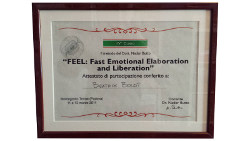 diploma-fast-emotional-elaboration-and-liberation-metodo-feel-beatrix-boldt-nader-butto-250